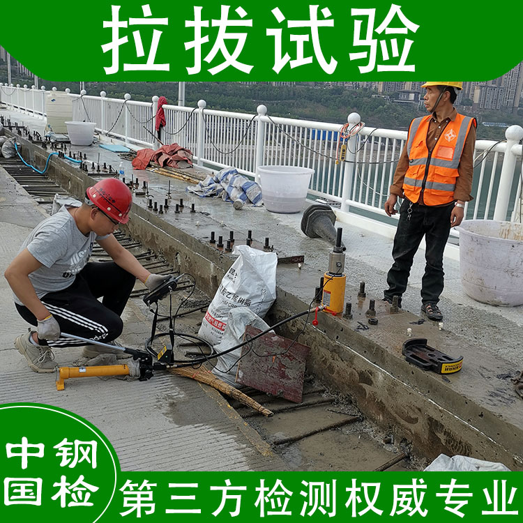 伸縮縫檢測 橋臺 拱橋 懸索橋 非道路橋梁